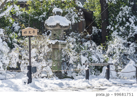 天台宗　青蓮院門跡　雪が積もった庭園を散策（京都市東山区） 99681751