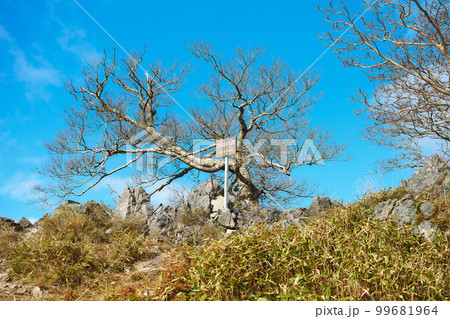 奈良県　大峯奥駈道　古田の森 99681964