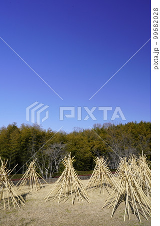 高山 茶筌の里 竹干しの風景 高山 茶筌の里 竹干しの風景 99682028