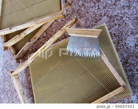 Abstract hexagon structure is honeycomb from bee hive Abstract hexagon structure is honeycomb from bee hive 99683501