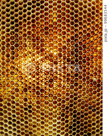 Abstract hexagon structure is honeycomb from bee hive Abstract hexagon structure is honeycomb from bee hive 99683544