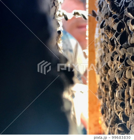 Natural hexagonal honeycomb from bee hive filled Natural hexagonal honeycomb from bee hive filled 99683830