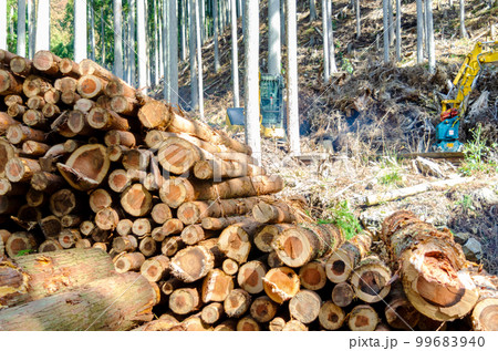 積み上げられた間伐材の原木 99683940