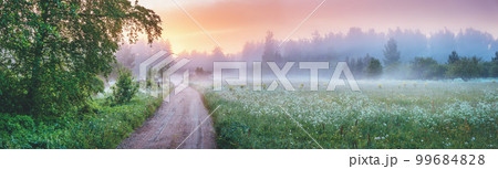 Country gravel road in fog in natural park in summer. 99684828