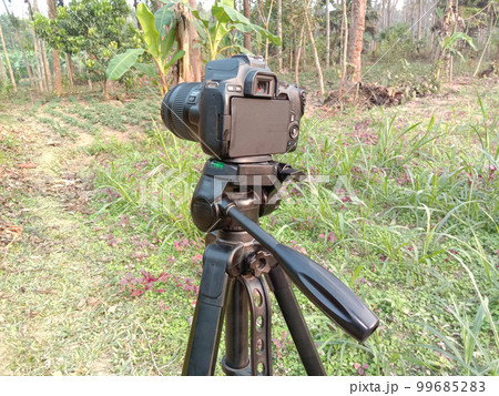 DSLR camera with try pod and nature 99685283
