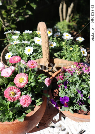 花の寄せ植え&花の寄せ鉢 花の寄せ植え&花の寄せ鉢 99685343