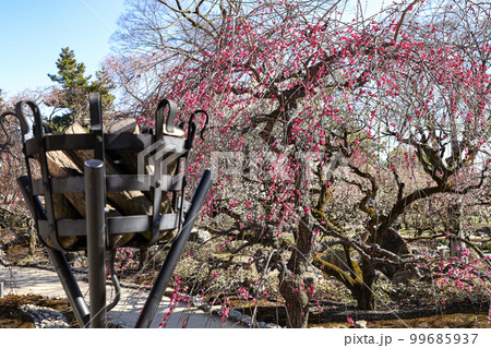 北野天満宮 梅園 北野天満宮 梅園 99685937