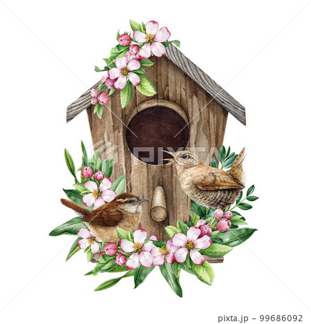 Garden birds on the birdhouse with spring flowers. Hand drawn watercolor illustration. Cozy spring decoration. Pair of wrens nesting in the cozy birdhouse, blooming spring flowers and green leaves Garden birds on the birdhouse with spring flowers. Hand drawn watercolor illustration. Cozy spring decoration. Pair of wrens nesting in the cozy birdhouse, blooming spring flowers and green leaves 99686092