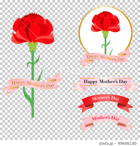 Mother's Day decoration carnation gift present bouquet decoration simple illustration material set Mother's Day decoration carnation gift present bouquet decoration simple illustration material set 99686180