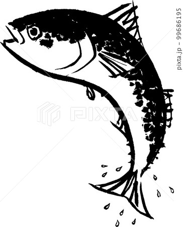 鯖　水彩画　水墨画 99686195