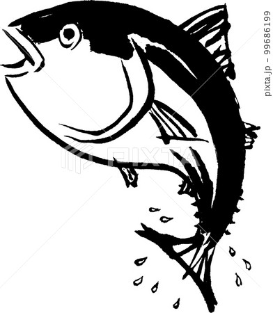 鰹 水彩画 水墨画のイラスト素材 [99686199] - PIXTA