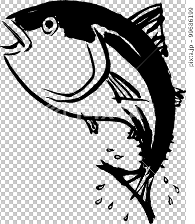 鰹 水彩画 水墨画のイラスト素材 [99686199] - PIXTA