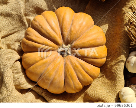 A large ripe pumpkin lies on a burlap, top view 99686361
