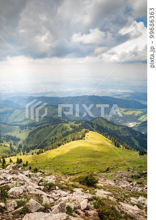 Almaty summer mountains, view from Panorama peak. Copy space, vertical 99686363