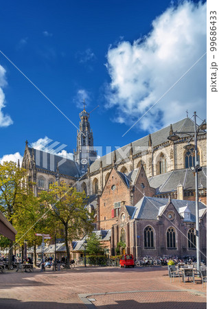 Church of Saint Bavo, Haarlem, Netherlands 99686433