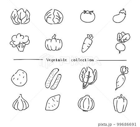 野菜のイラストセット　線画　モノクロ 99686691