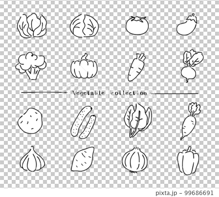 Vegetable illustration set line drawing monochrome Vegetable illustration set line drawing monochrome 99686691