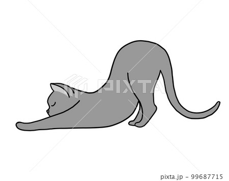 のびのびと体を伸ばしてとても気持ちよさそうにしているロシアンブルーの子猫 99687715