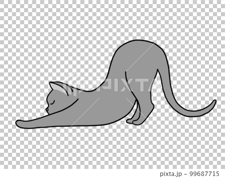 のびのびと体を伸ばしてとても気持ちよさそうにしているロシアンブルーの子猫 99687715