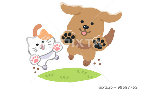 芝生で走る犬と猫（手描きカラー） 99687765