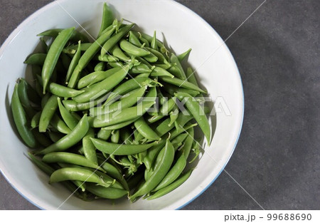 えんどう豆収穫 えんどう豆収穫 99688690
