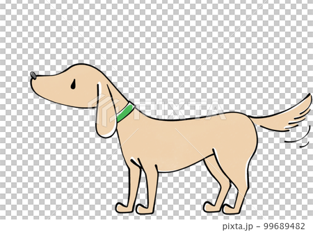尻尾を振る犬のイラスト 99689482