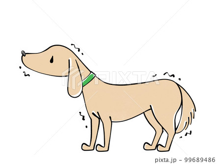 怯える犬のイラスト 99689486
