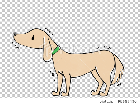 怯える犬のイラスト 99689486
