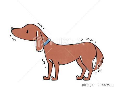 怯える犬のイラスト 怯える犬のイラスト 99689511