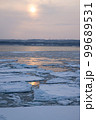 砕氷船から見る夕暮れ時の網走の流氷 99689531