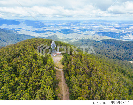 Summer Landscape at Mt St Leonard in Australia 99690314