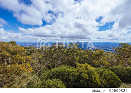 Summer Landscape at Mt St Leonard in Australia Summer Landscape at Mt St Leonard in Australia 99690322