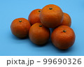 たんかん 99690326
