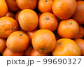 たんかん 99690327