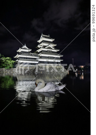 国宝松本城 夜の顔と白鳥 国宝松本城 夜の顔と白鳥 99691324