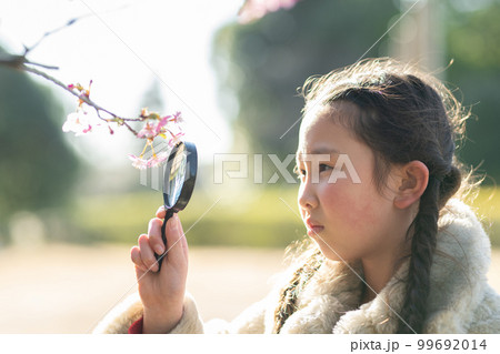 桜の花を虫眼鏡で見る少女 99692014
