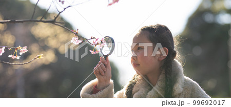 桜の花を虫眼鏡で見る少女 99692017