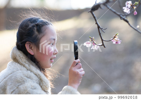 桜の花を虫眼鏡で見る少女 桜の花を虫眼鏡で見る少女 99692018