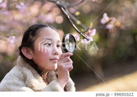 桜の花を虫眼鏡で見る少女 桜の花を虫眼鏡で見る少女 99692022