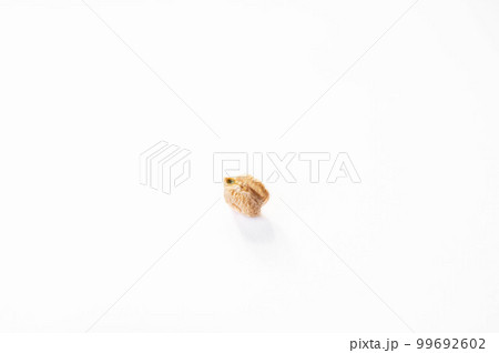 一粒のひよこ豆 99692602