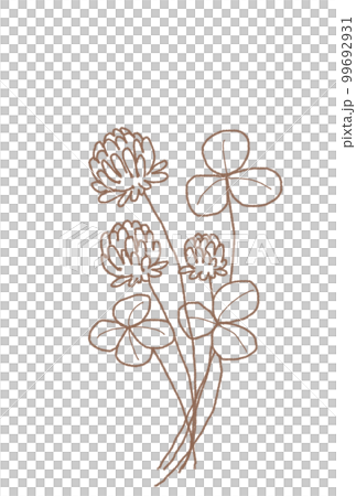 Clover line drawing 99692931