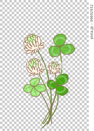 Clover  99692932