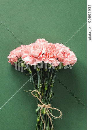 Bouquet of pink carnations flower on green background. Woman's day or Mother's day greeting card. Bouquet of pink carnations flower on green background. Woman's day or Mother's day greeting card. 99692952