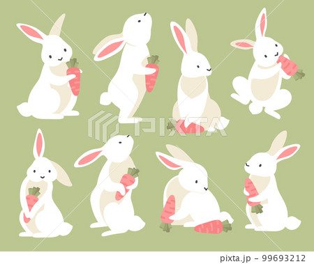 Rabbits With Carrot Cartoon Set Rabbits With Carrot Cartoon Set 99693212