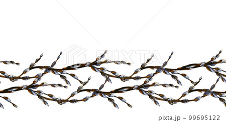 Watercolor easter seamless borders with willow branches. Spring hand drawn illustration on white background for decor 99695122