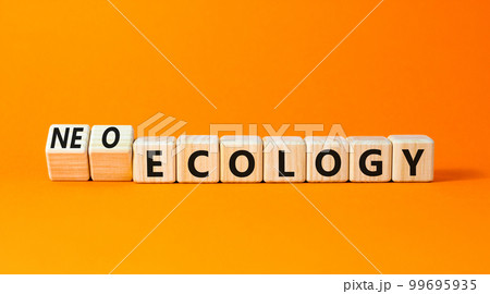 Neo-ecology or ecology symbol. Concept words Neo-ecology or ecology on wooden cubes. Beautiful orange table orange background. Business, ecological neo-ecology or ecology concept. Copy space. Neo-ecology or ecology symbol. Concept words Neo-ecology or ecology on wooden cubes. Beautiful orange table orange background. Business, ecological neo-ecology or ecology concept. Copy space. 99695935