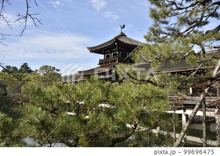 泰平閣(橋殿)と松　平安神宮 99696475