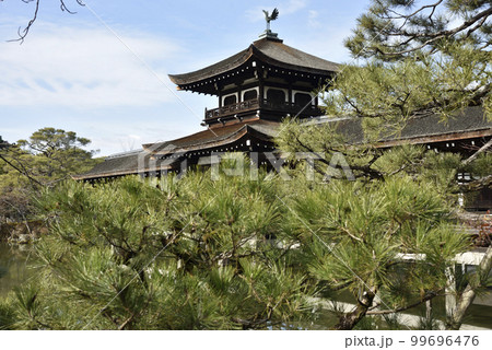 泰平閣(橋殿)と松 平安神宮 泰平閣(橋殿)と松 平安神宮 99696476