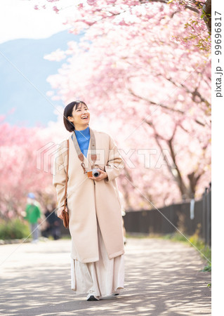 女性、カメラ、旅行、桜、観光、河津桜、カメラ女子、デジカメ、観光地、旅、観光スポット、女子旅、一人旅 99696817