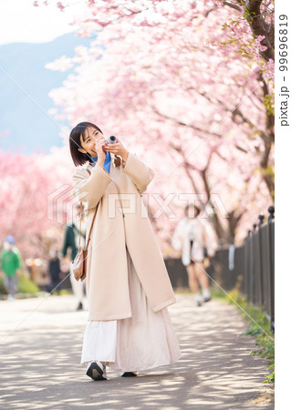女性、カメラ、旅行、桜、観光、河津桜、カメラ女子、デジカメ、観光地、旅、観光スポット、女子旅、一人旅 99696819
